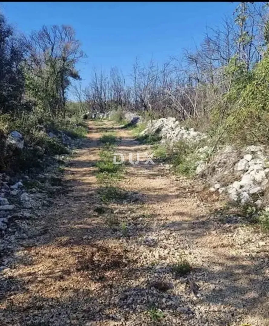 istra, rovinj - poljoprivredno zemljište. prilika! - slika 5