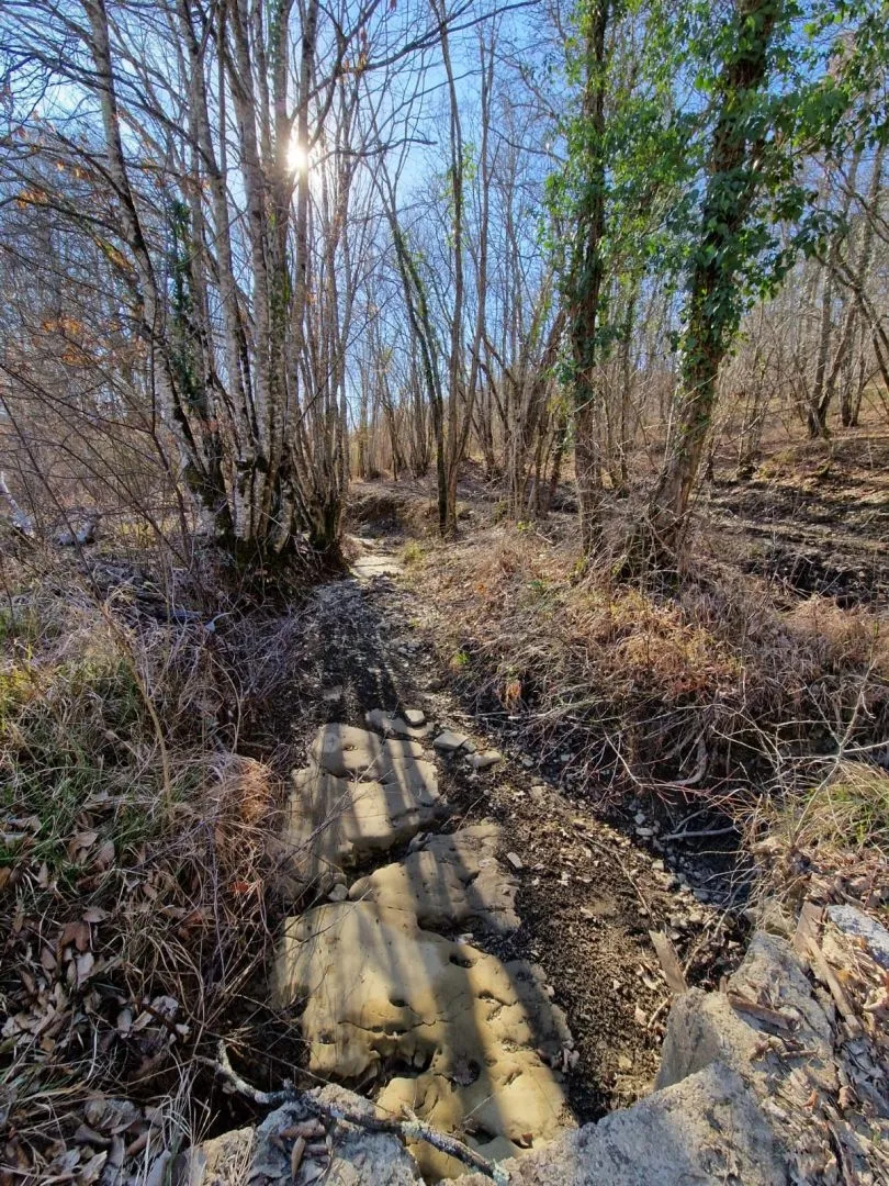 istra, pazin - imanje za obnovu - slika 4
