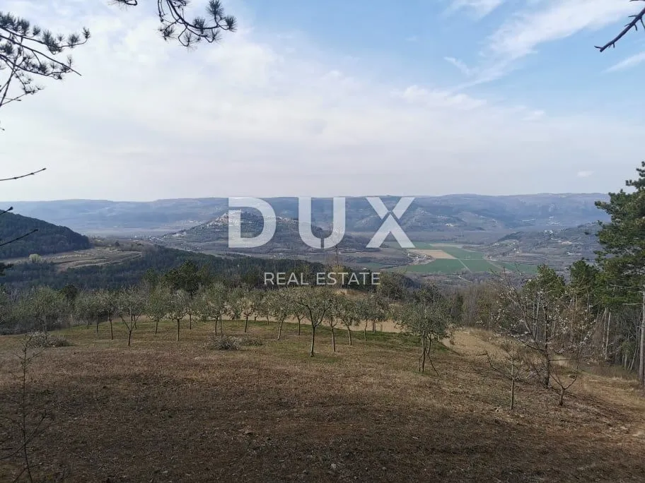 ISTRA,MOTOVUN-Poljoprivredno zemljište s predivnim pogledom - Kaldir, Motovun