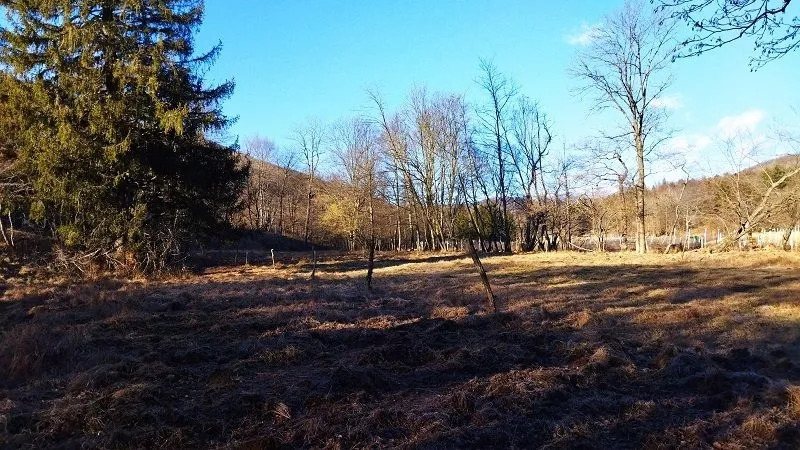 klana - zemljište u prirodi!!! 9.011 m2 - slika 3
