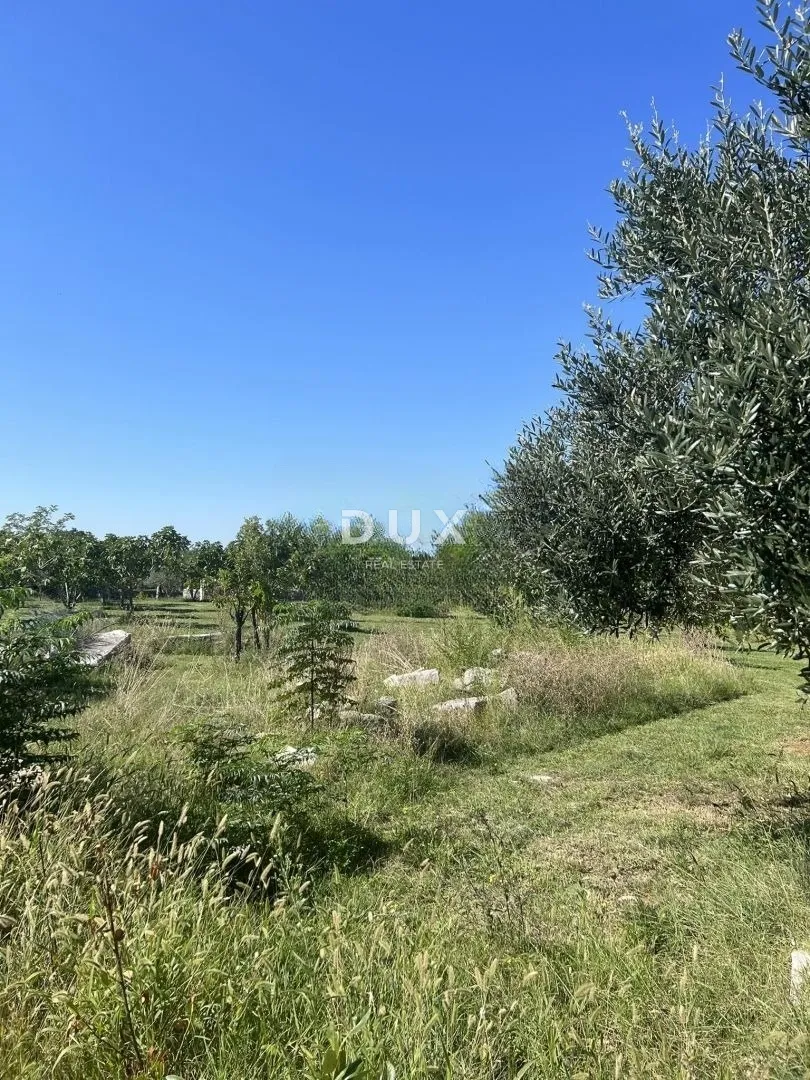 istra,rakalj - građevinsko zemljište s maslinama - slika 2