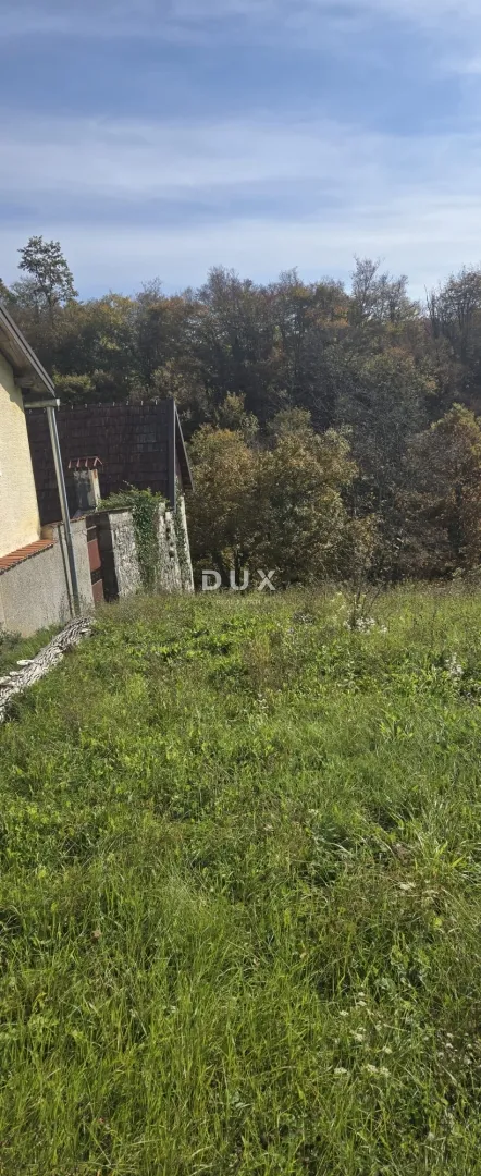 ogulin, tounj- kuća 200m2 odmah do rijeke + pomoćni objekt 150m2 + okoliš 3500m2 - slika 9