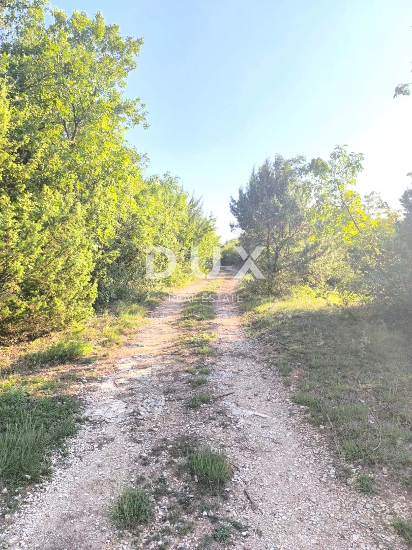 istra, svetvinčenat poljoprivredno zemljište za maslinik - slika 4