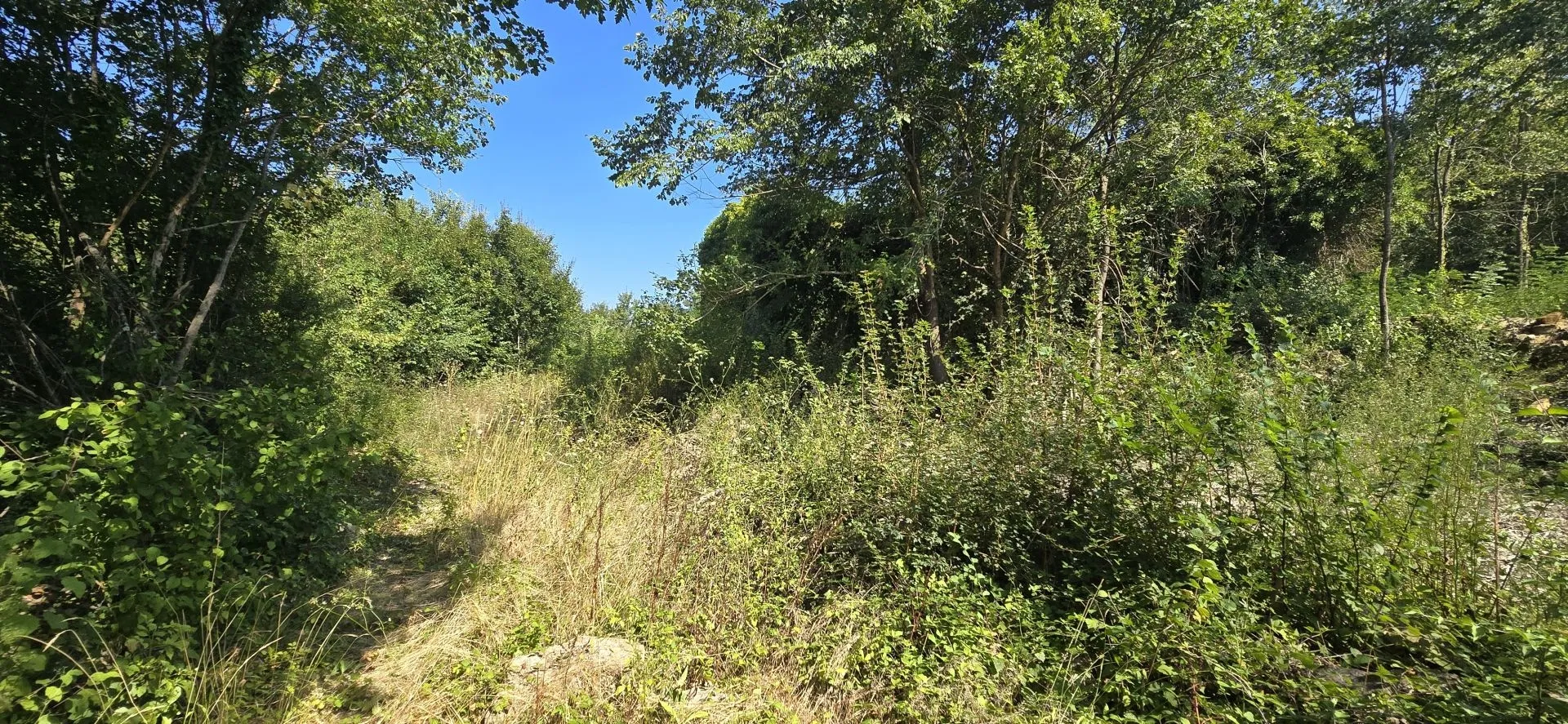 istra, kršan - imanje za adaptaciju na osami - slika 24