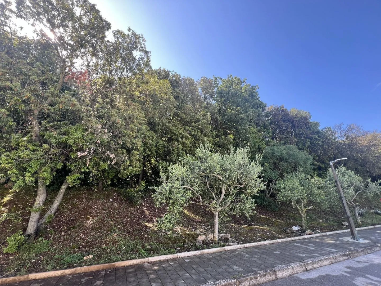ISTRA,PULA - Kompleks zemljišta prvi red do mora