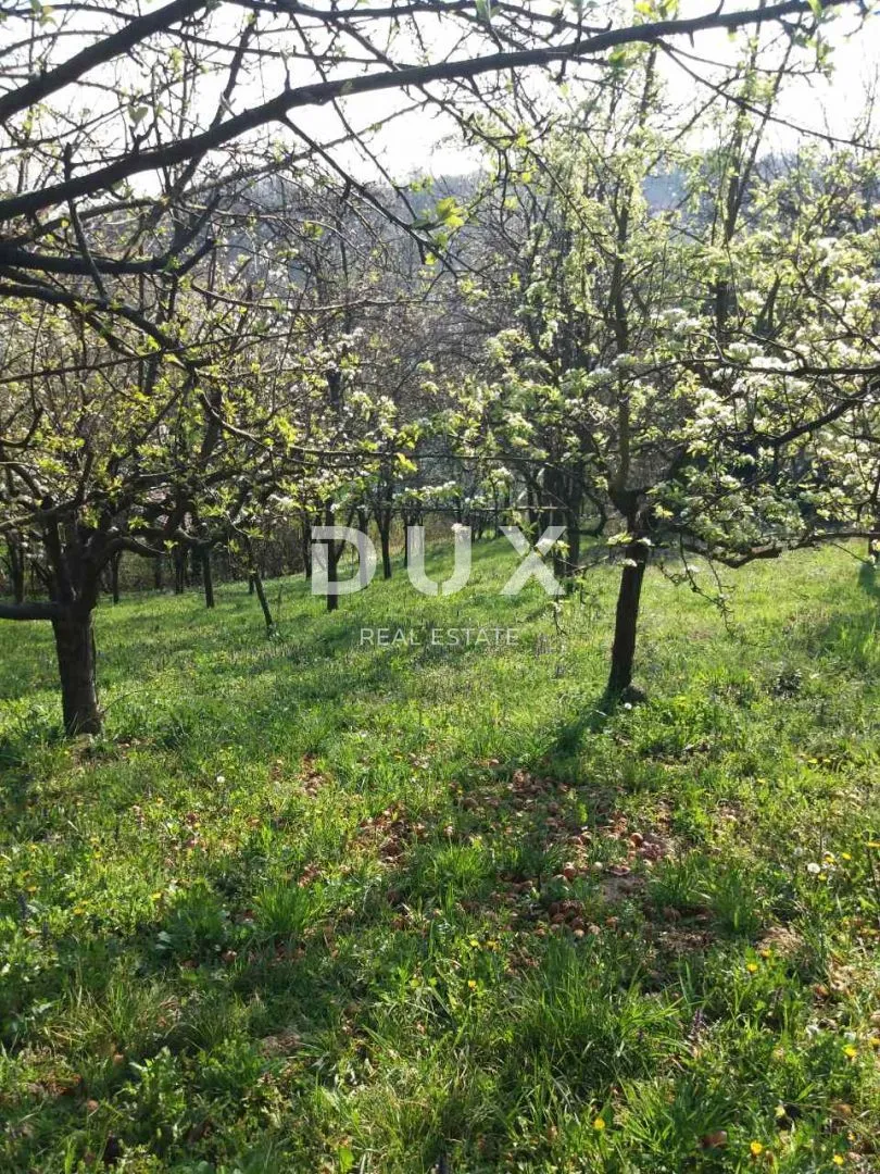virovitica- kuća sa predivnim pogledom na netaknutu prirodu! - slika 18
