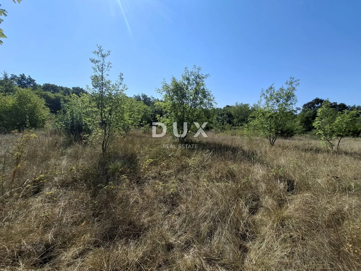 istra, šajini, poljoprivredno zemljište, 5021 m2 - slika 5