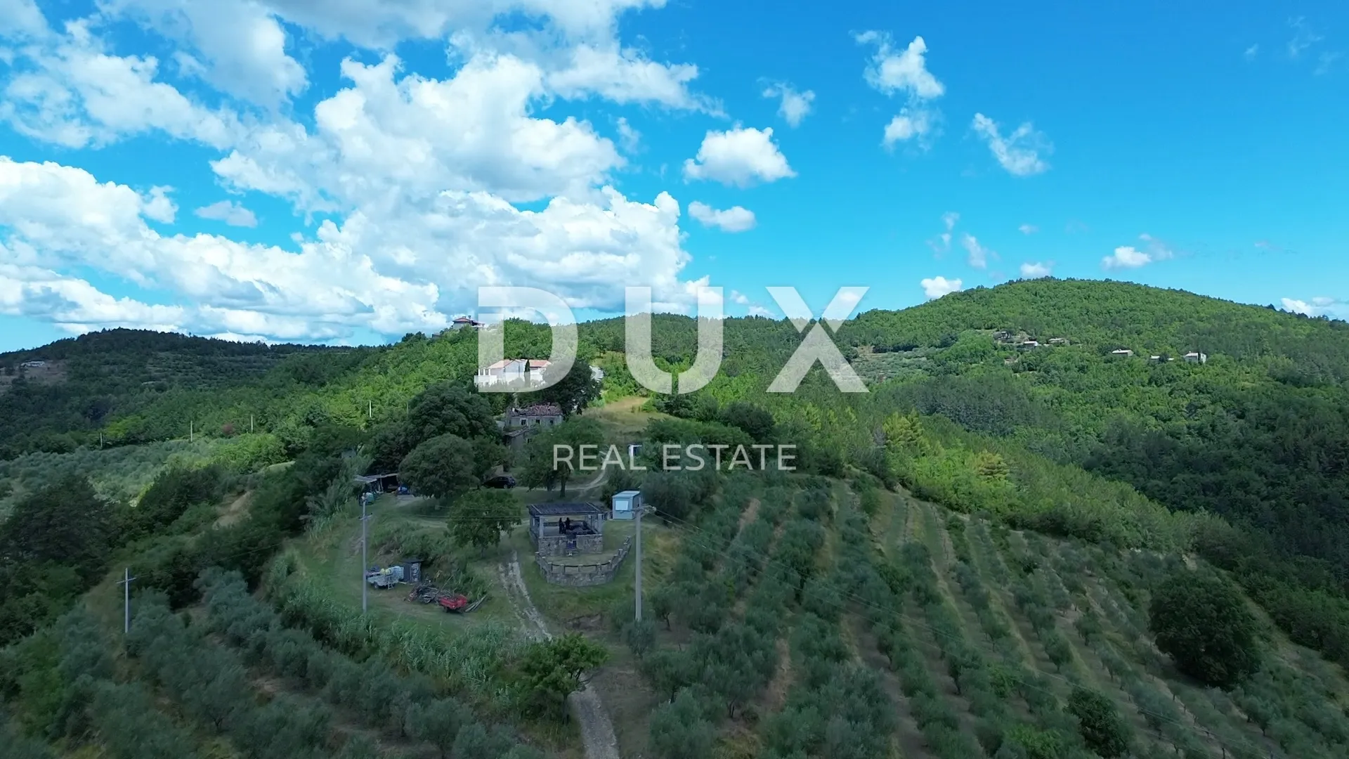 istra, motovun, imanje, 170.416 m2 - slika 12