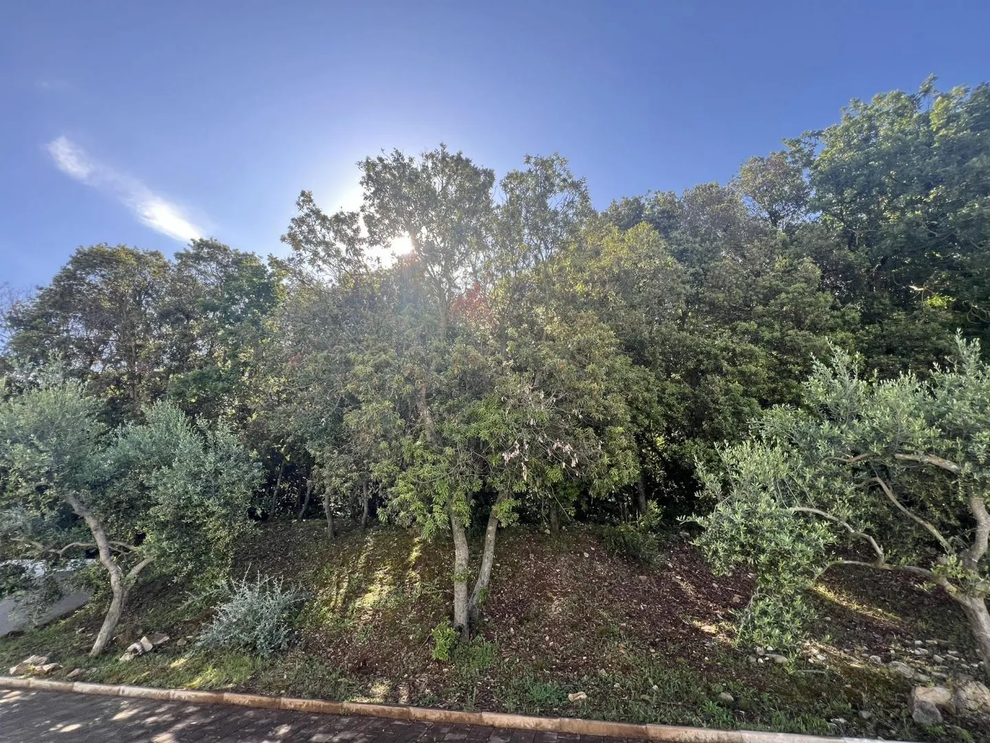 istra,pula - kompleks zemljišta prvi red do mora - slika 3