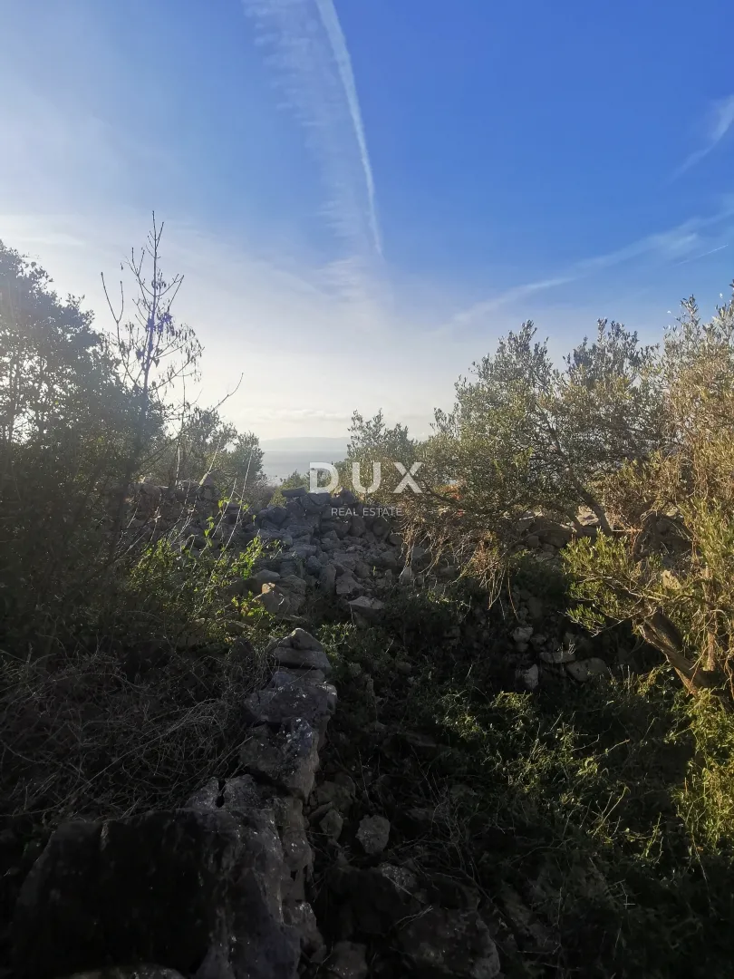 otok krk, punat - poljoprivredno zemljište - slika 8