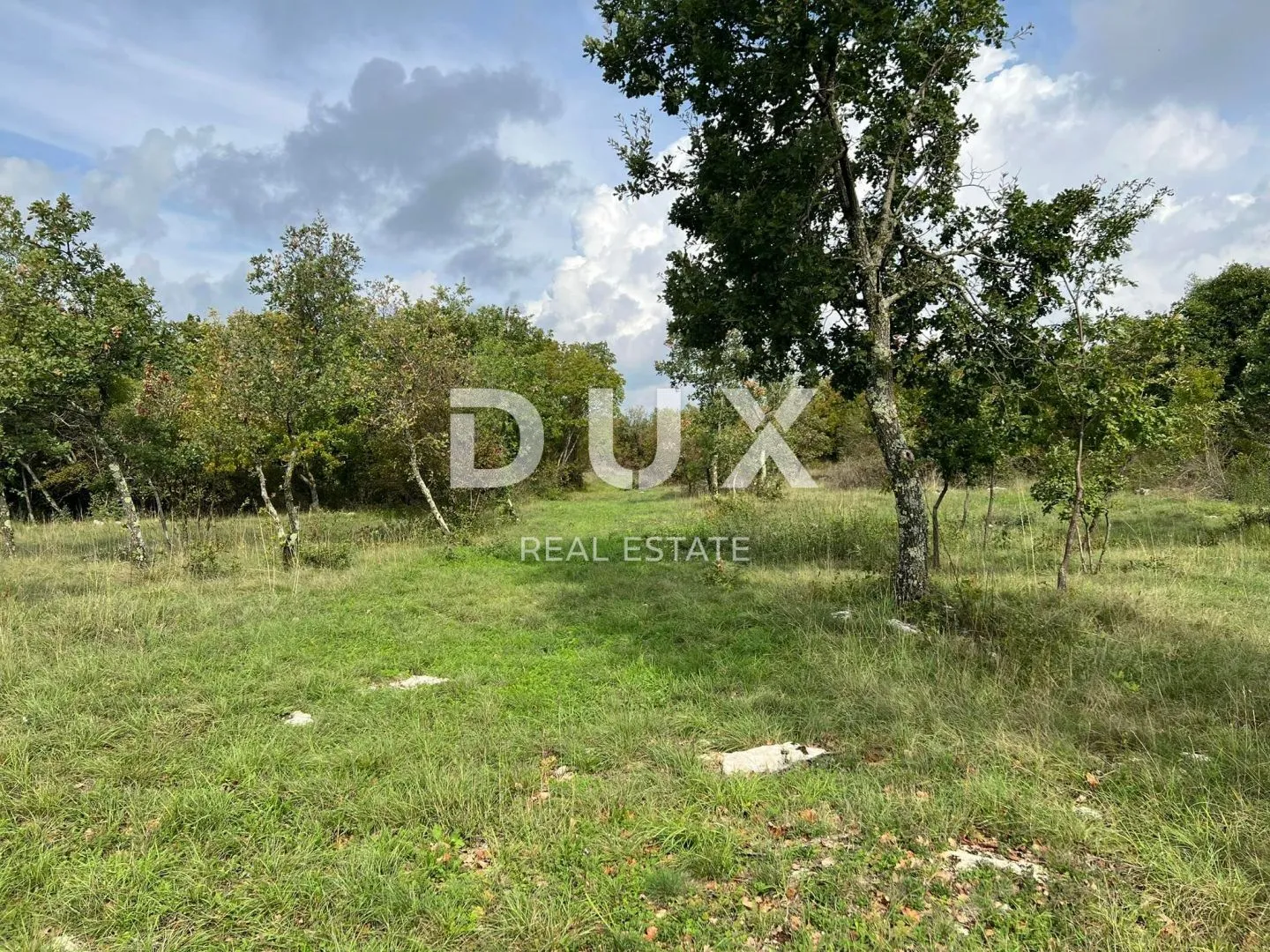 istra,barban - imanje s dva objekta za renovaciju - slika 4