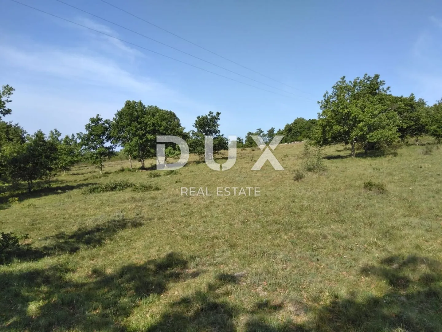 istra, višnjan - poljoprivredno zemljište - slika 2