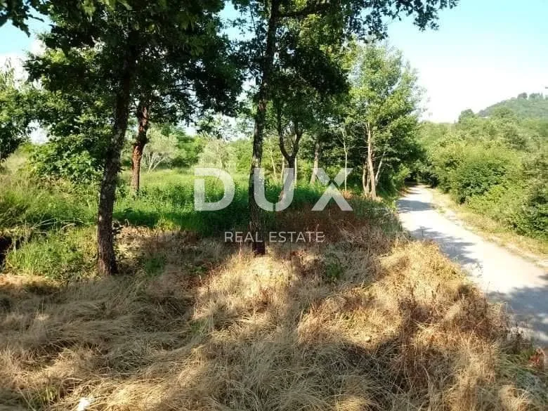 istra, buzet - kompleks zemljišta - slika 2