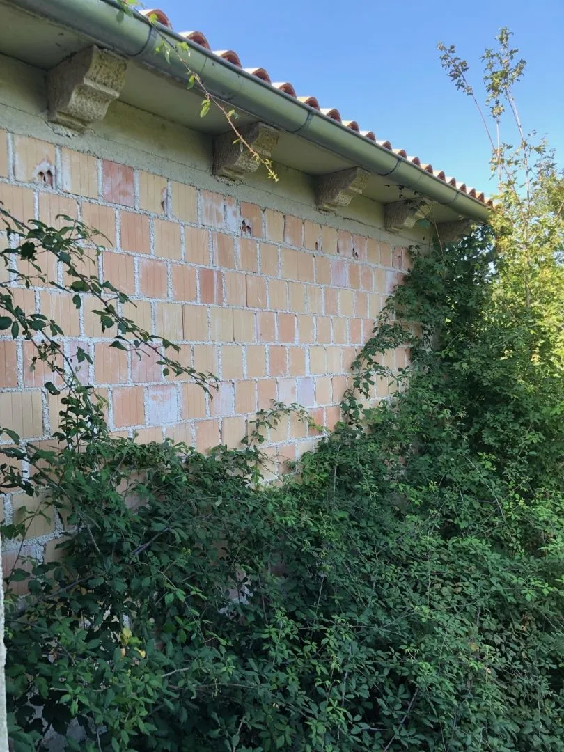 istra, pićan - prostrano imanje sa starinom za adaptaciju - slika 11