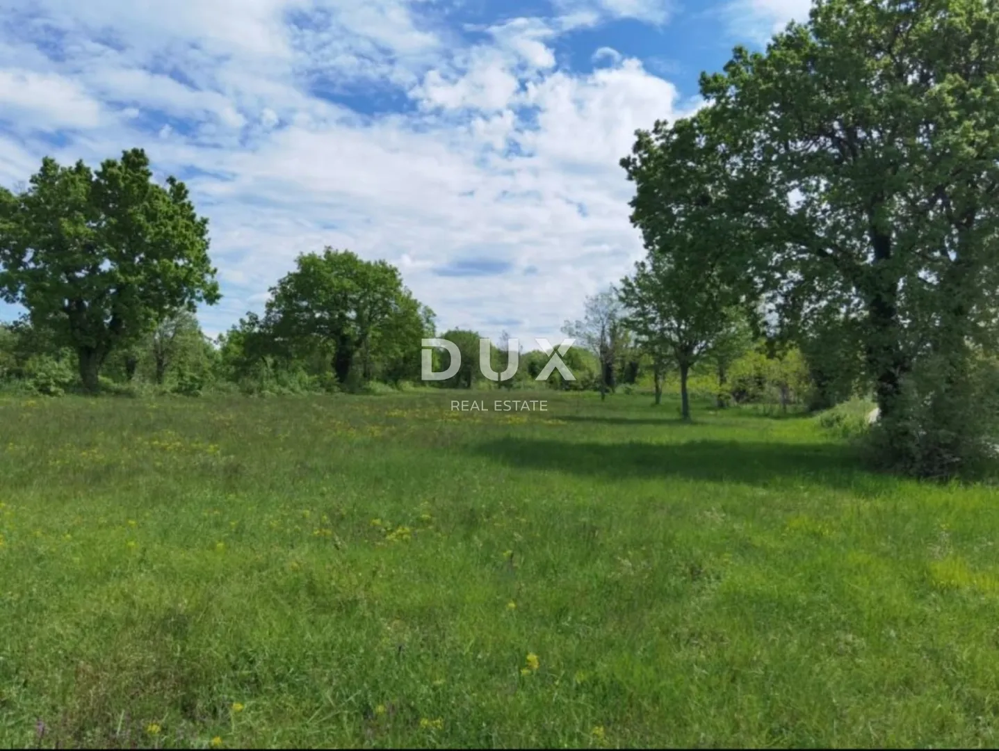 istra, višnjan - vrhunska investicijska prilika - slika 2