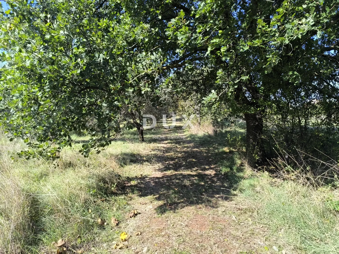istra, pula - građevinsko zemljište + maslinik 5800 m2 - slika 4