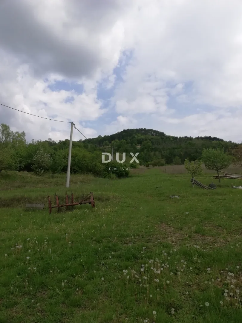 istra, motovun, zemljište, 53 183 m2, mještovite namjene - slika 4