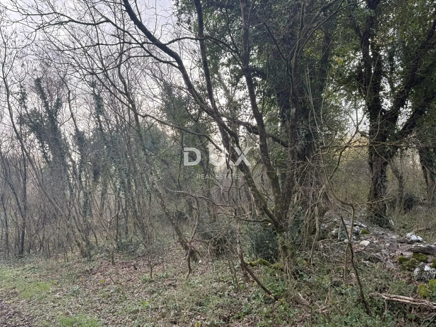istra, labin - prostrano poljoprivredno zemljište - slika 4