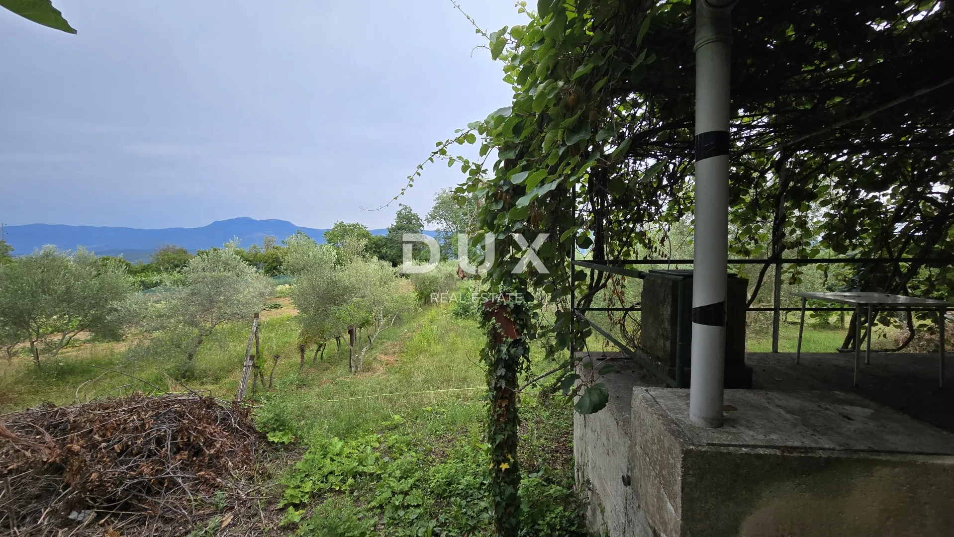 istra, labin – kućica u prirodi, potpuna osama s velikom okućnicom - slika 17