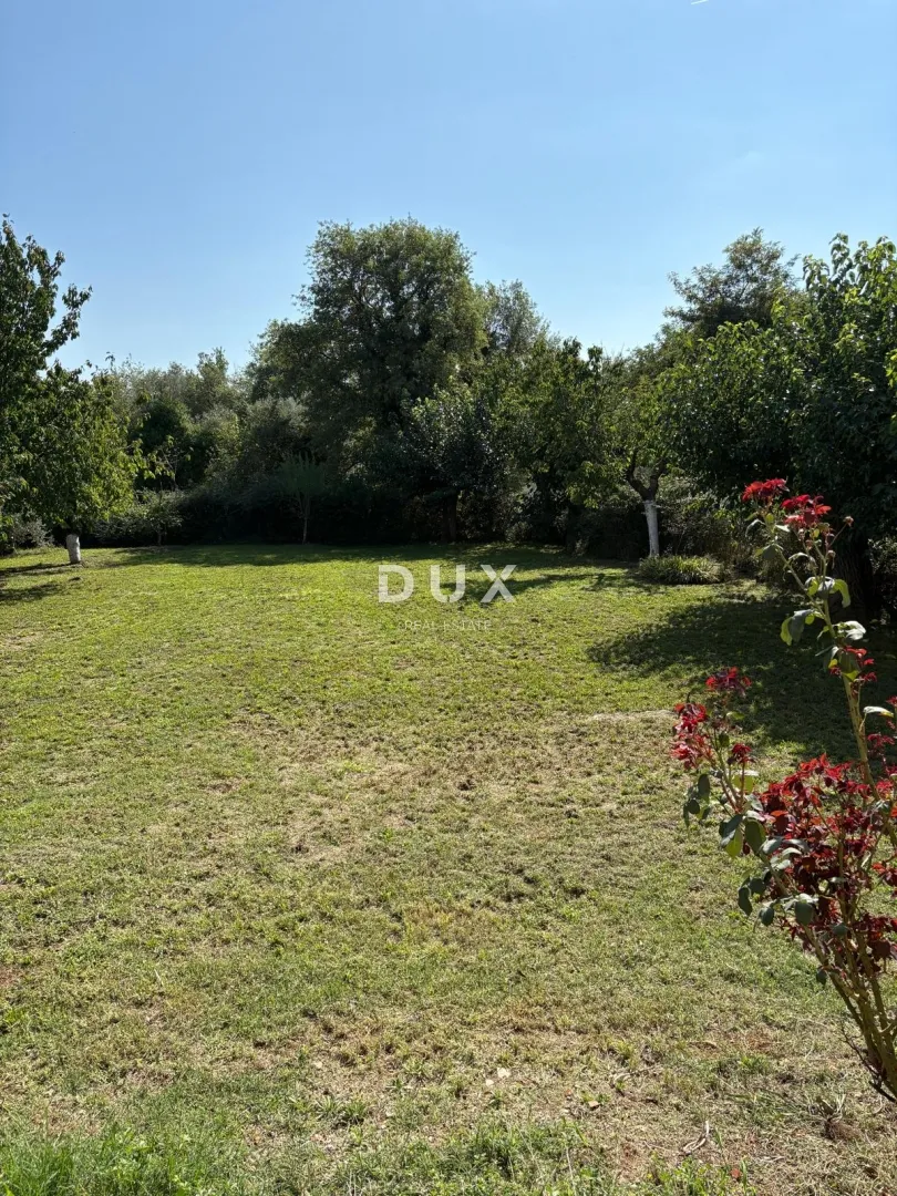 istra, brtonigla, kuća, 181 m², 2.461 m² okućnice - slika 20