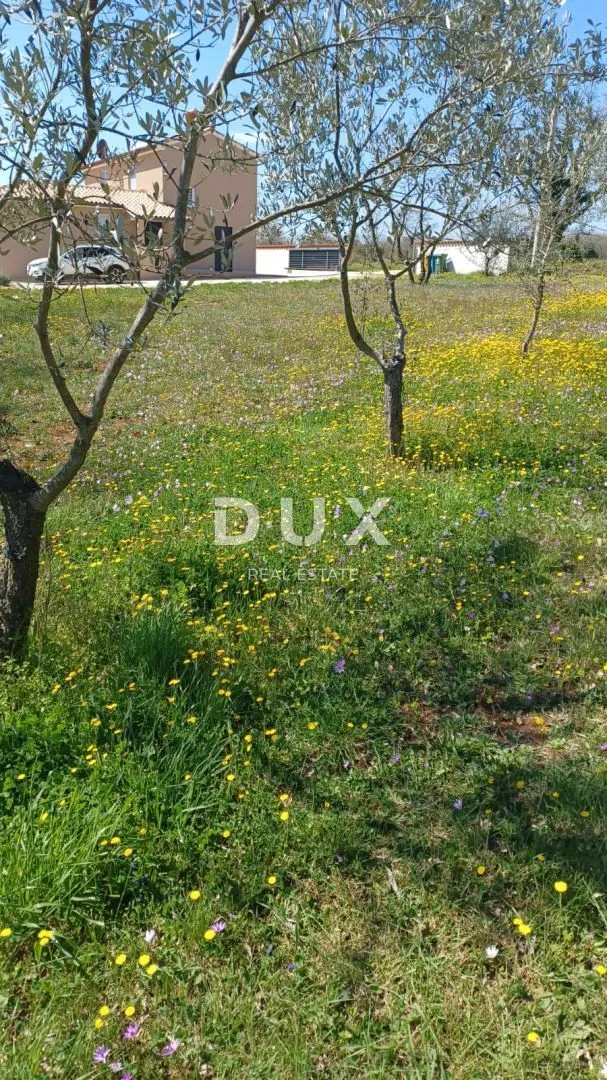 ISTRA, VODNJAN - Građevinsko zemljište u okolici Vodnjana sa potencijalom za više nekretnina! - Divšići, Marčana
