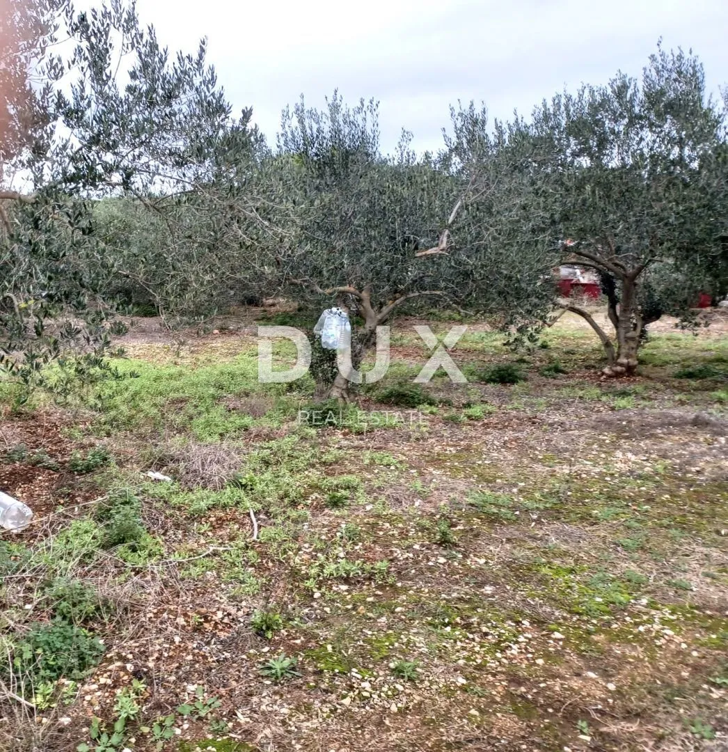 zadar, kukljica - prostrano građevinsko zemljište - slika 6