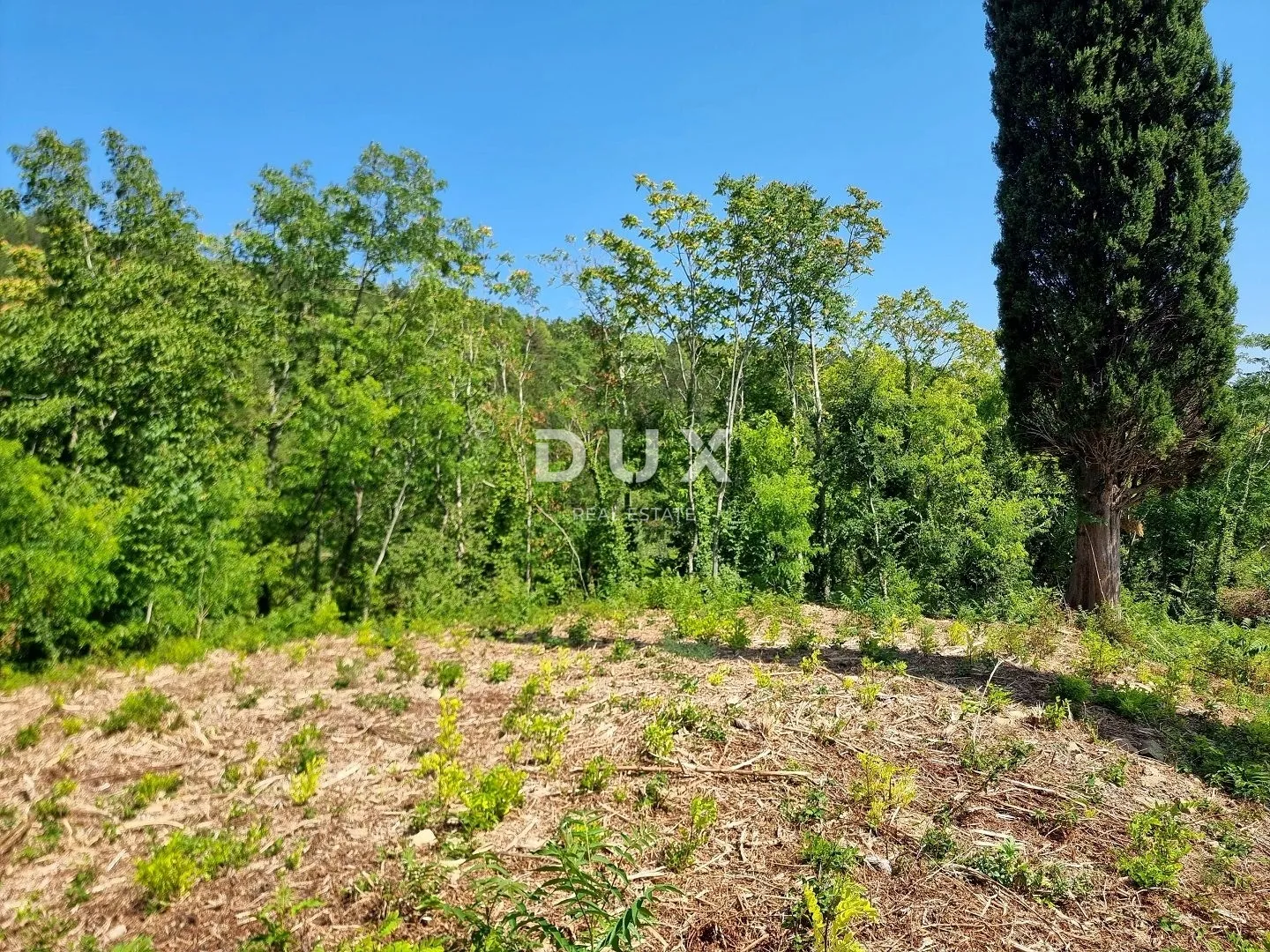 istra, grožnjan - građevinsko zemljište na osami s panoramskim pogledom - slika 7