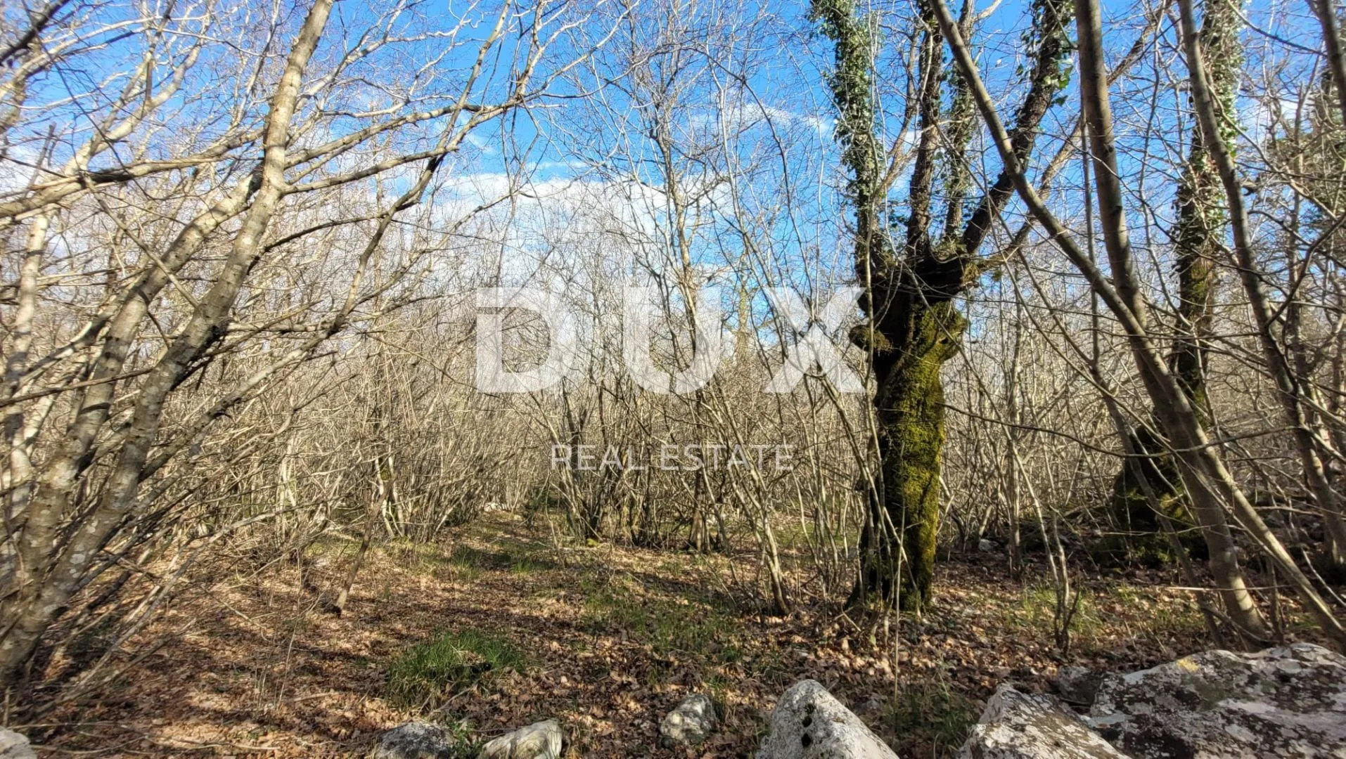 OTOK KRK, KRK - Ravno zemljište bogato drvima sa pristupom, idealno za OPG, 3000m od mora!