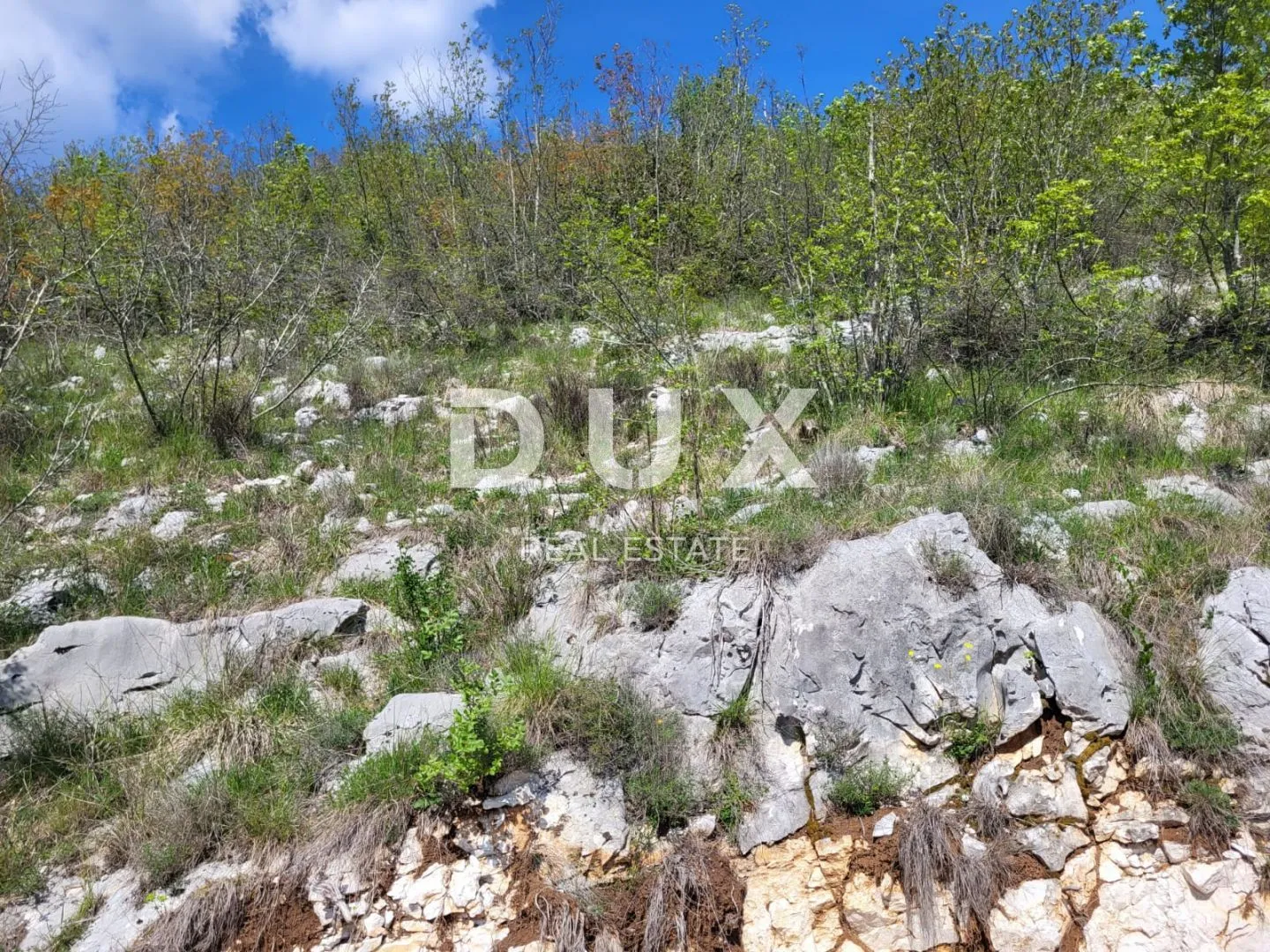 istra, buzet - poljoprivredno zemljište - slika 3
