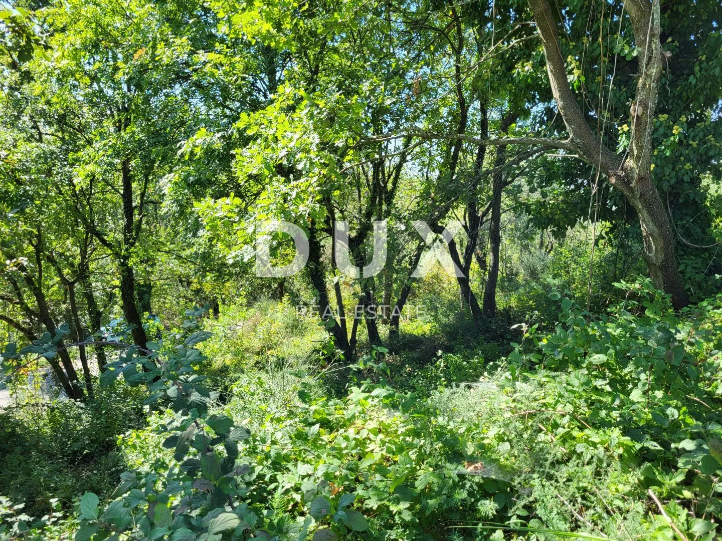 istra, grožnjan - zemljište s prekrasnim pogledom - slika 8