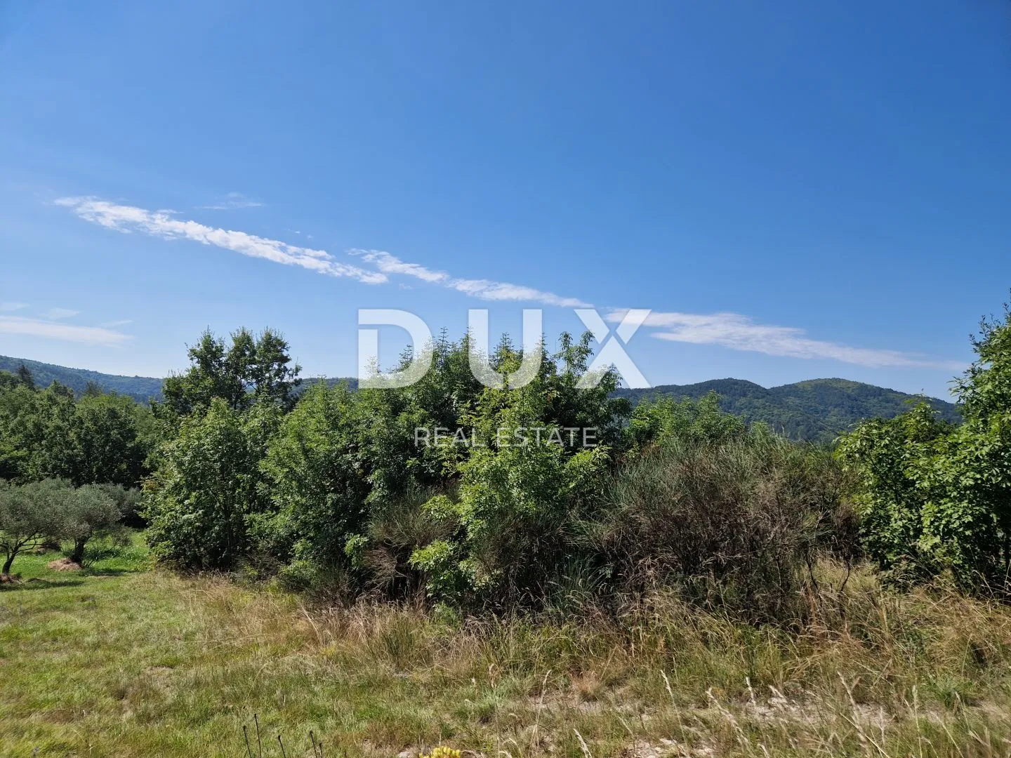 istra, sovinjak - poljoprivredno zemljište pogodno za maslinarstvo - slika 4