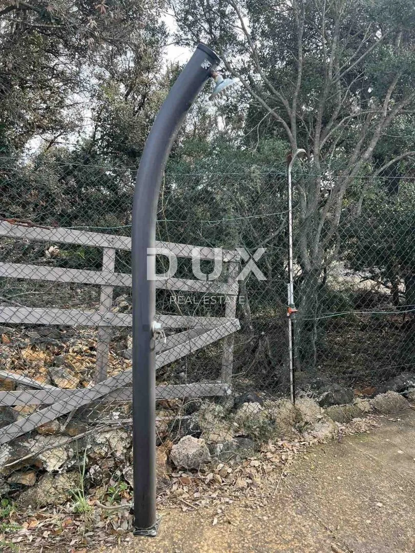 mali lošinj - maslinik sa 210 maslina te vodom i strujom 200m od mora - slika 9