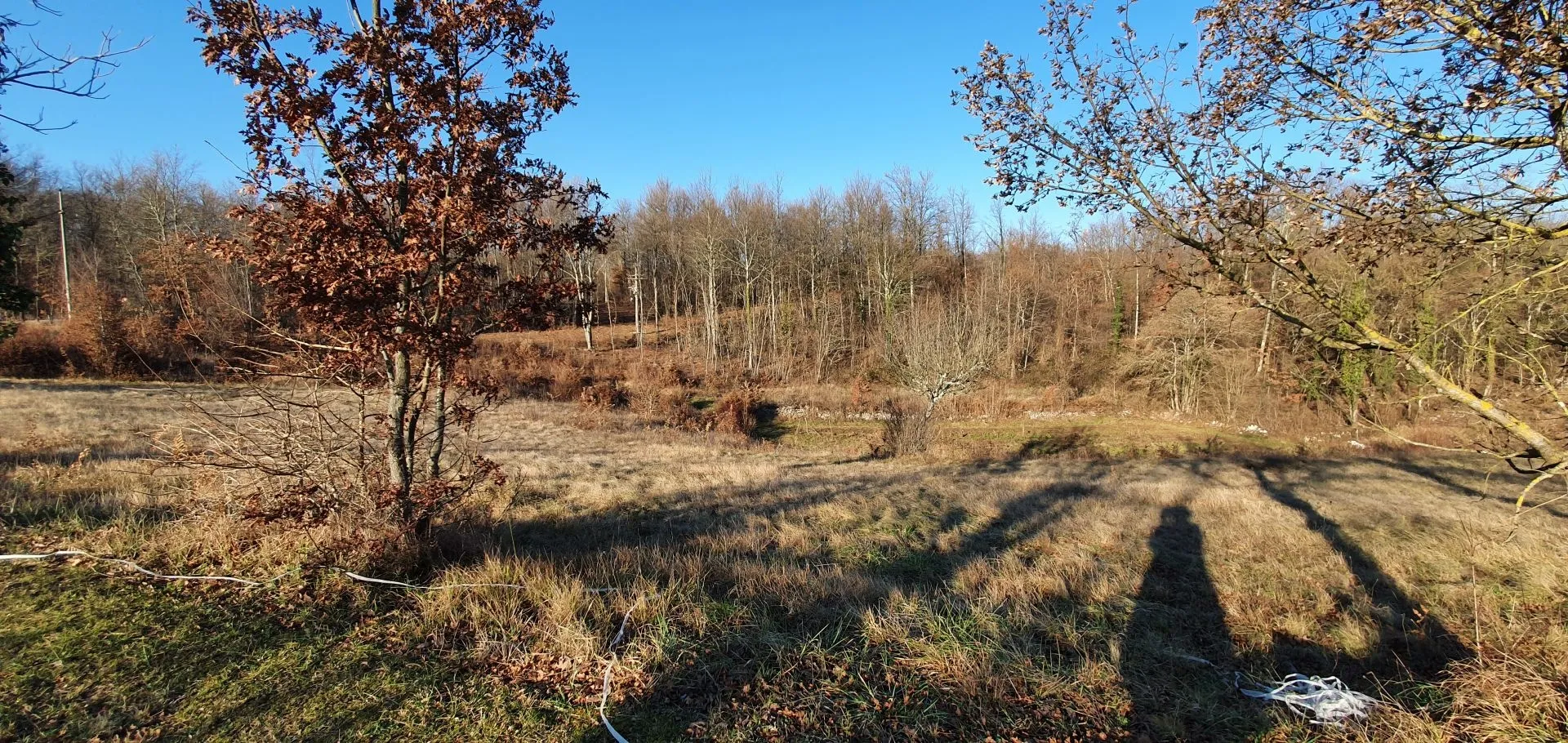 istra, gračišće - prostrano građevinsko zemljište 6000m2 - prilika za investitore - slika 8