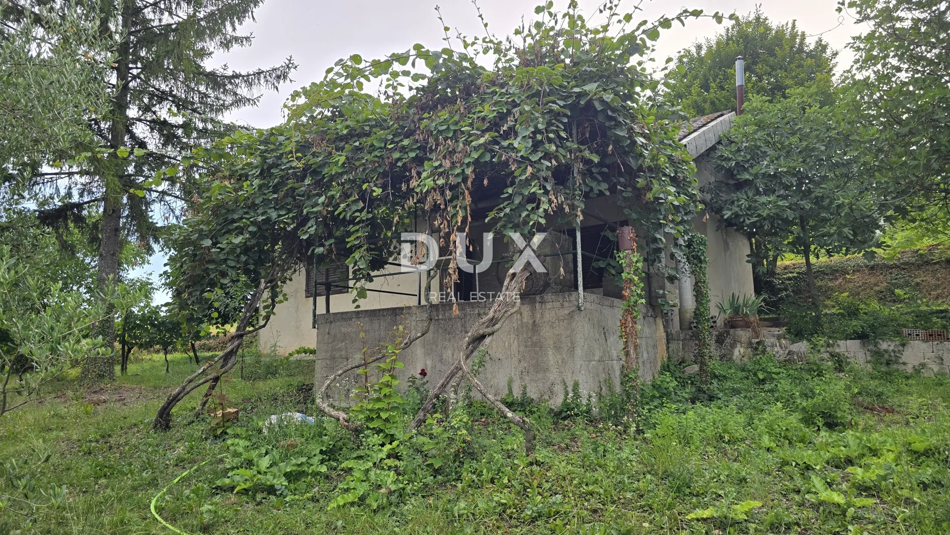 istra, labin – kućica u prirodi, potpuna osama s velikom okućnicom - slika 27