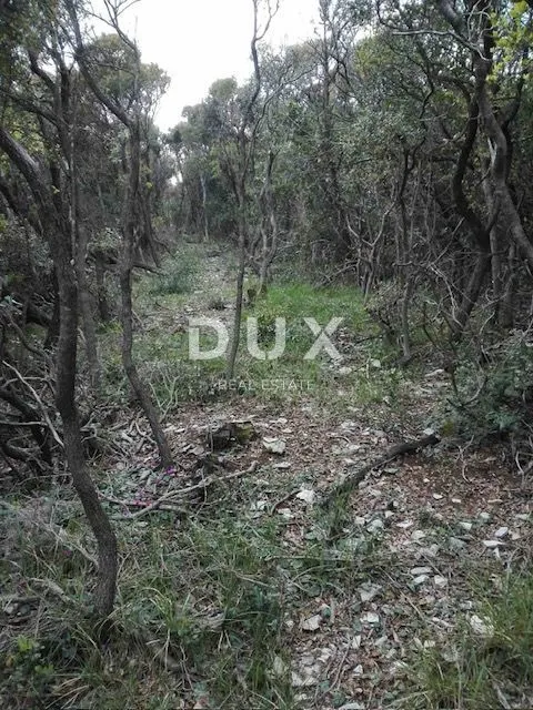 istra, rakalj - zemljište prvi red do mora - slika 8