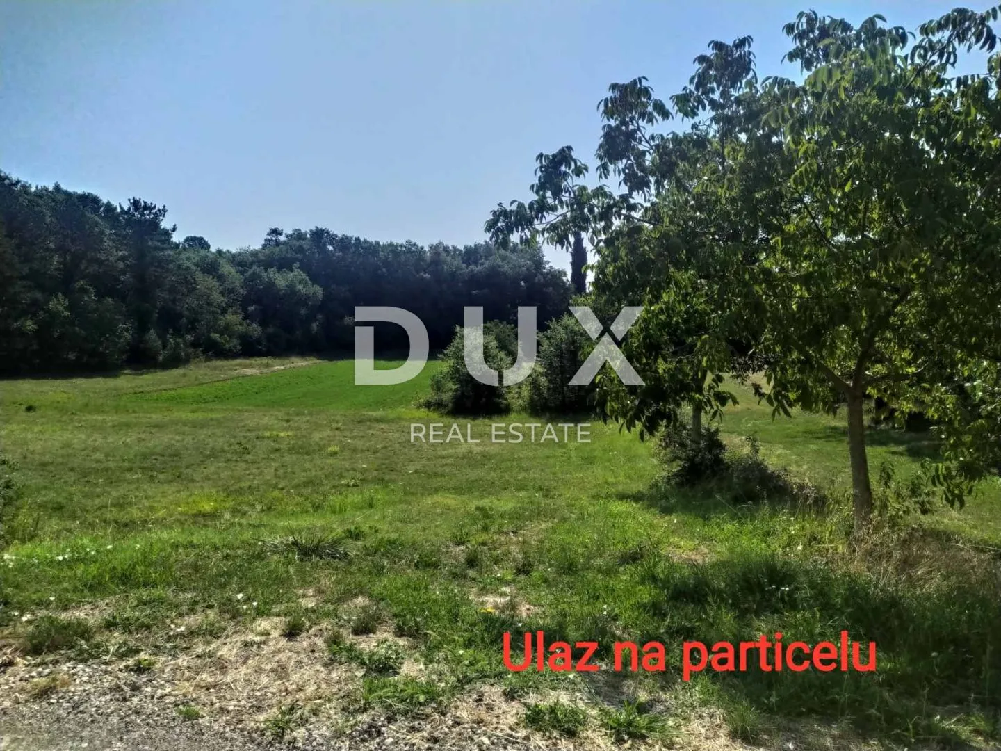 istra, poreč, tinjan - atraktivni građevinski teren 2269 m2 - slika 5