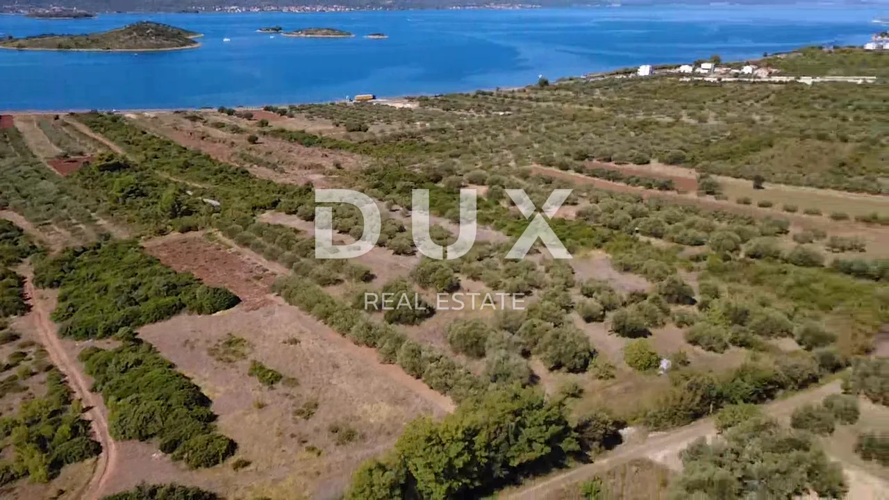 zadar, turanj - maslinik s 55 maslina - 3143m² - slika 8