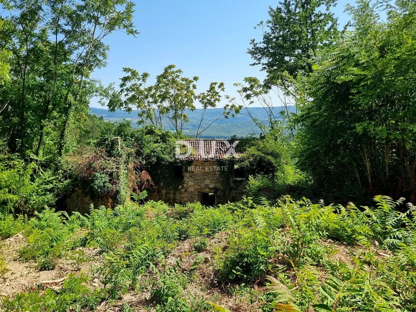 istra, grožnjan - građevinsko zemljište na osami s panoramskim pogledom - slika 9