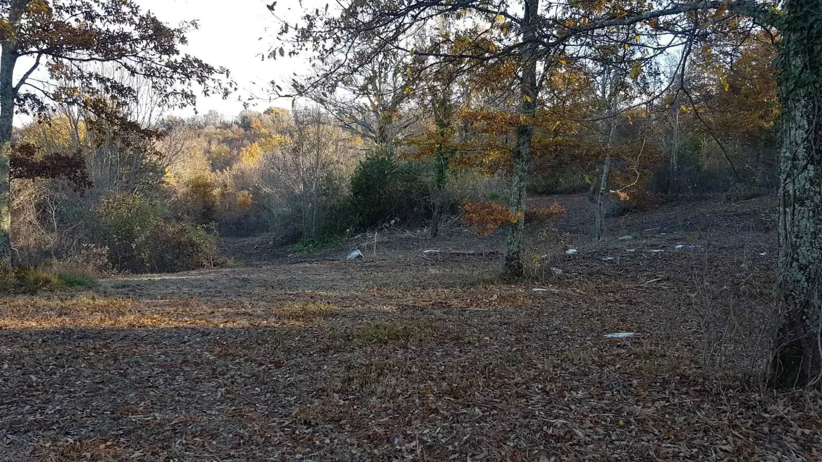 istra, vižinada - prostrano građevinsko zemljište na osami s panoramskim pogledom - slika 30