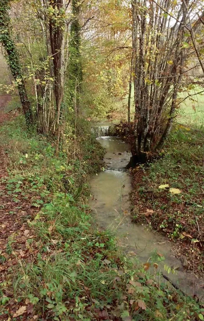 istra, pazin - imanje za obnovu - slika 34