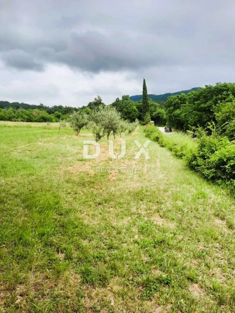 istra, labin - prostrano poljoprivredno zemljište 13 688m2 u blizini mora - slika 11