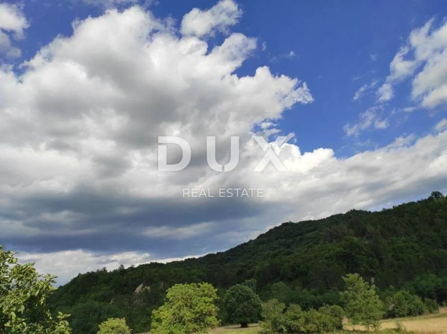 ISTRA, BUTONIGA - Prostrano poljoprivredno zemljište - Butoniga, Pazin