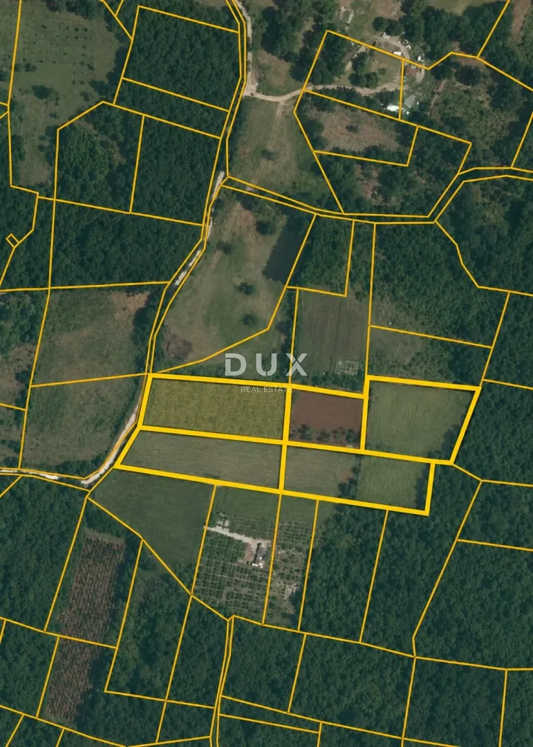 ISTRA, ROVINJ - Maslinik i oranica s poljskom kućicom