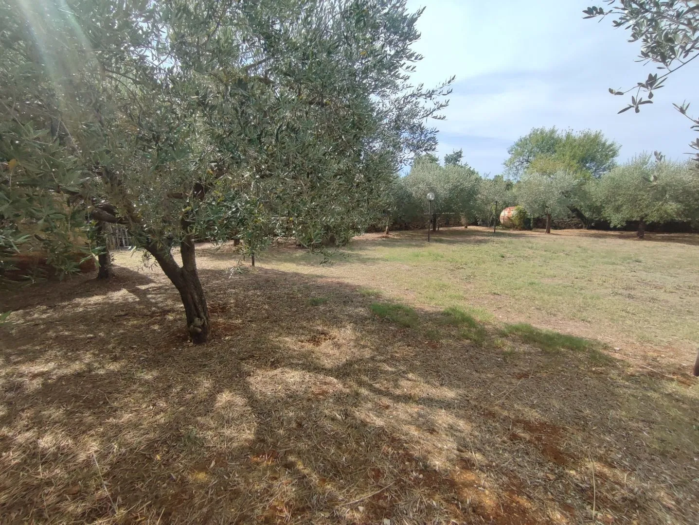 istra, galižana - dvije kamene rustikalne vile okružene prirodom - slika 97