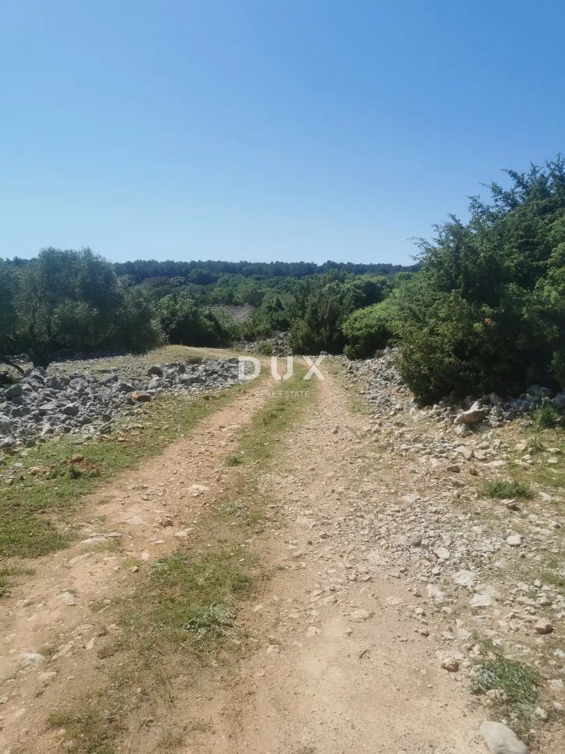 otok krk, grad krk - maslinik na atraktivnoj lokaciji - slika 3