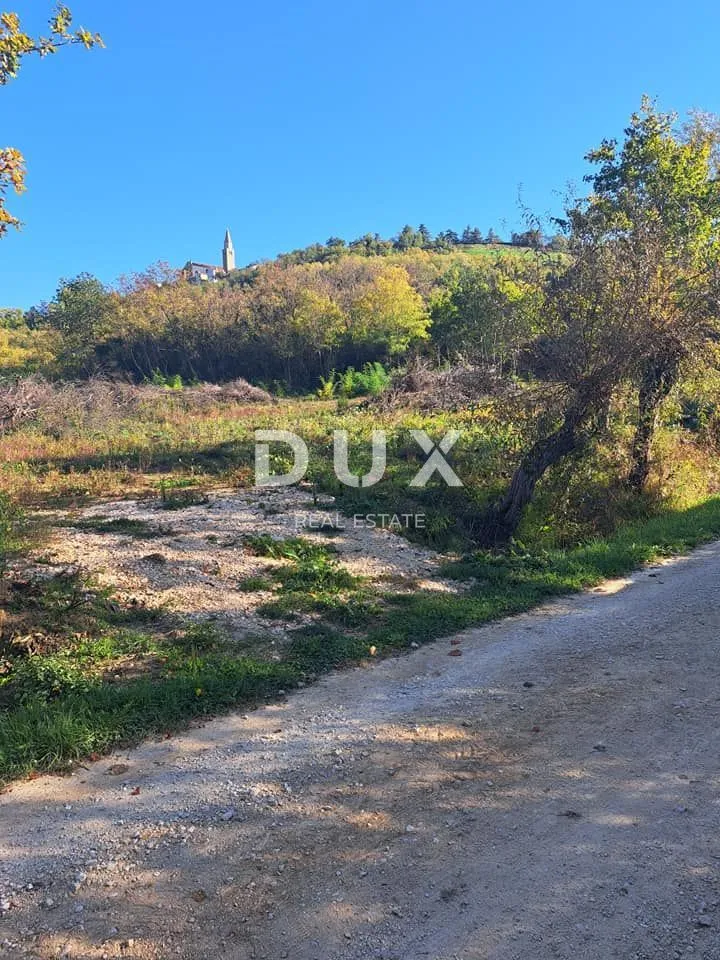 istra,buje - poljoprivredno zemljište - slika 2