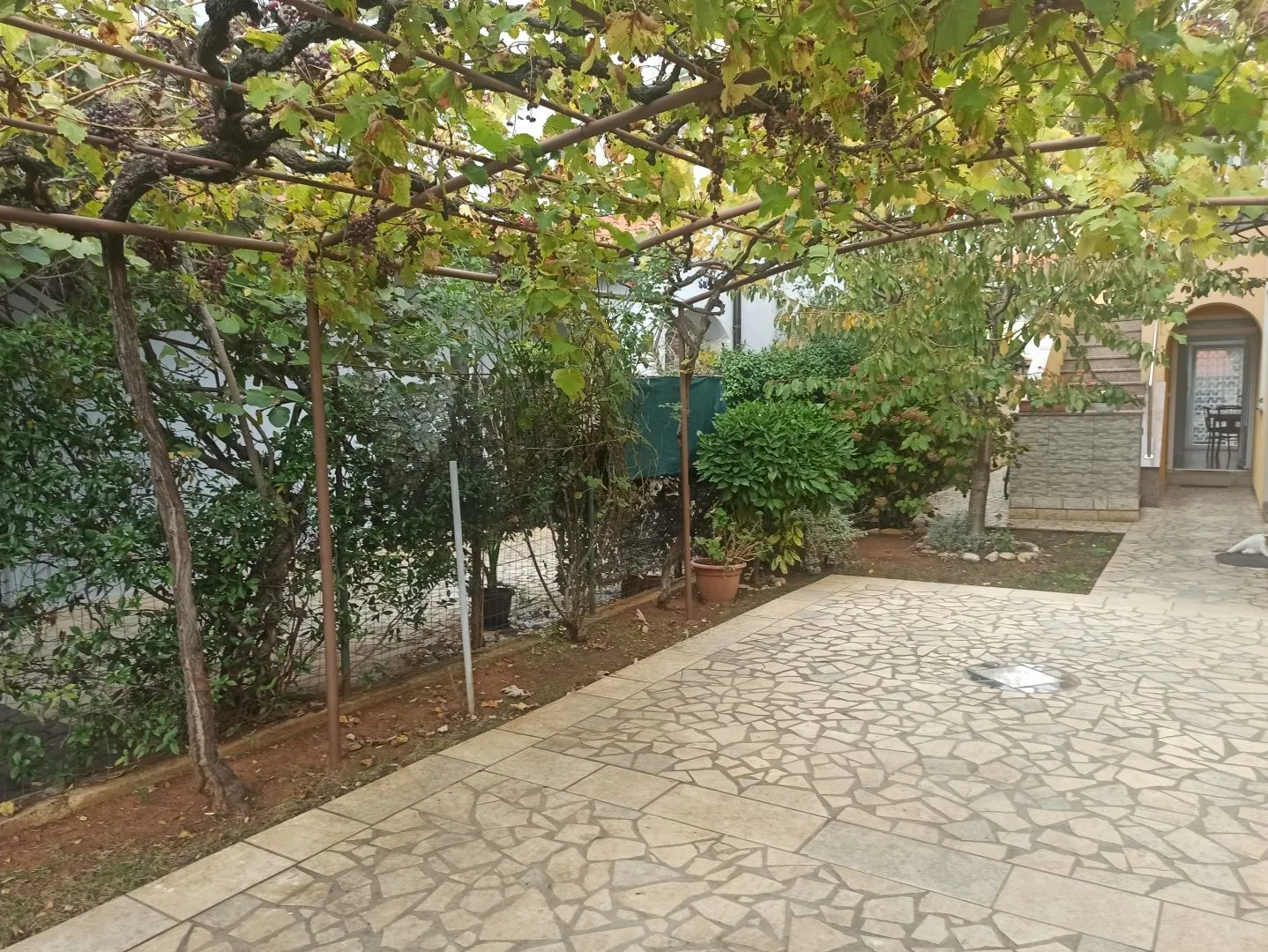 istra, valbandon kuća s 3 apartmana i dvorištem u blizini mora - slika 2