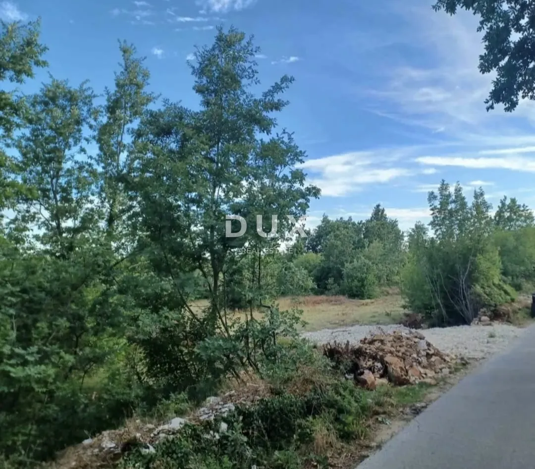 istra, svetvinčenat- poljoprivredno zemljište! - slika 2