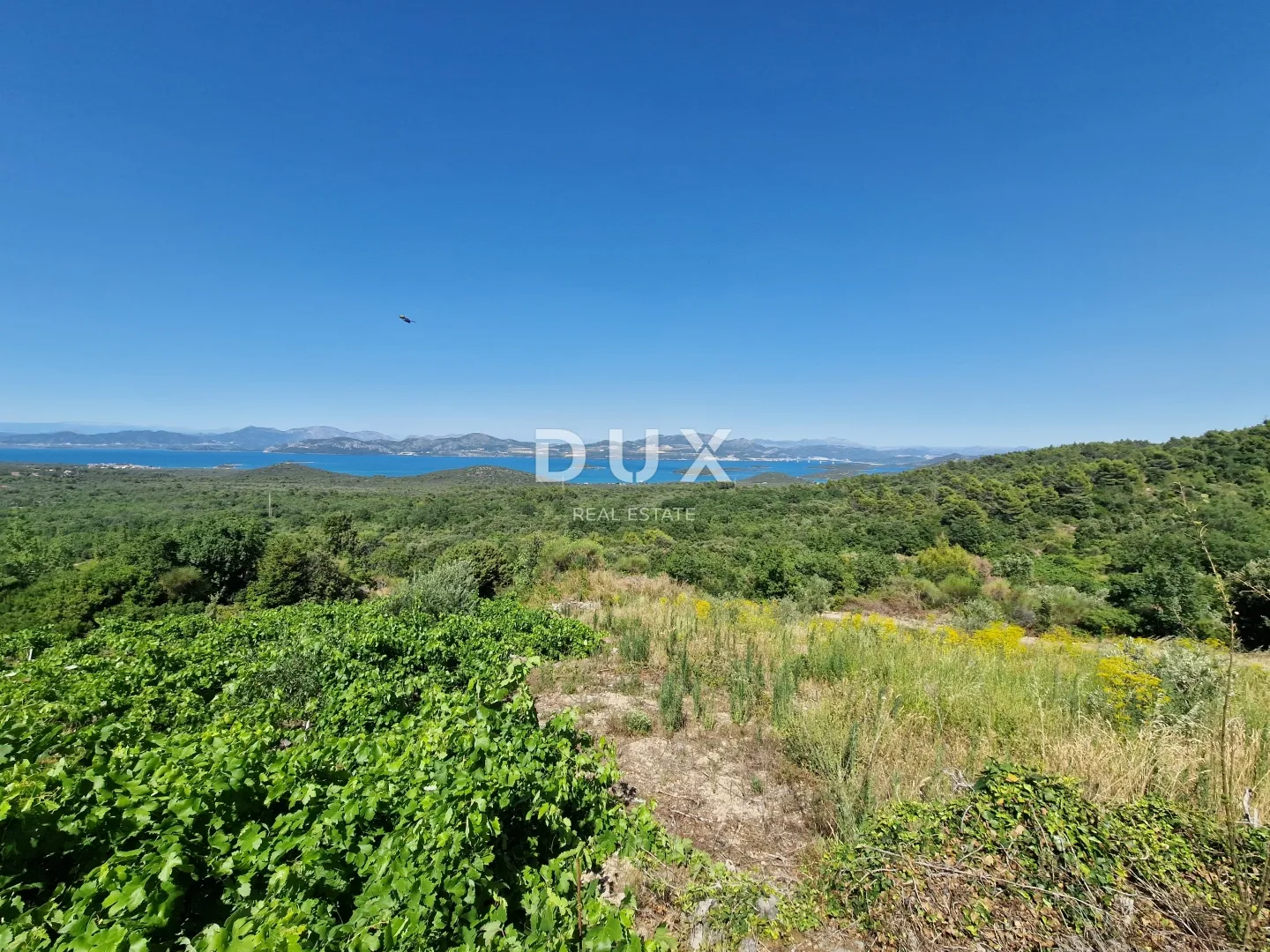 pelješac, popova luka, poljoprivredno zemljište 190.000m² - slika 15