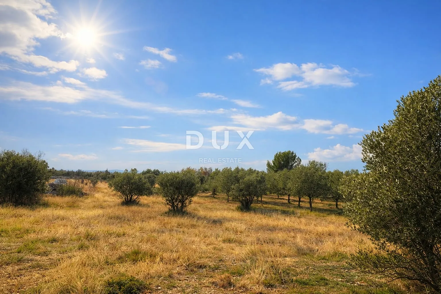 ISTRA, VODNJAN – Poljoprivredno zemljište
